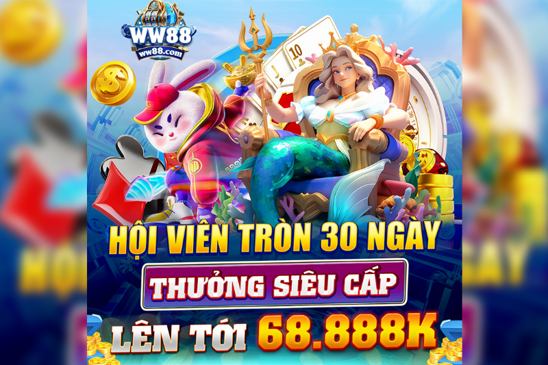 Một bó hoa đồng tiền màu vàng được gói ghém cẩn thận và đẹp mắt, sẵn sàng để làm quà tặng